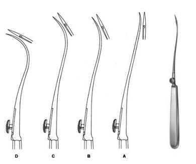 Reverdin Needle