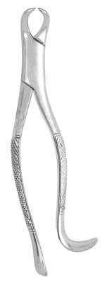 Extracting Forceps #16