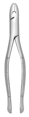 Extracting Forceps #99C