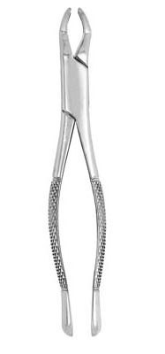 Extracting Forceps #210S