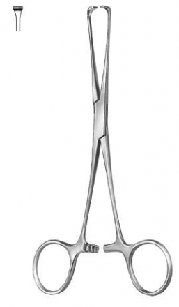 Intestinal and Tissue Grasping Forceps