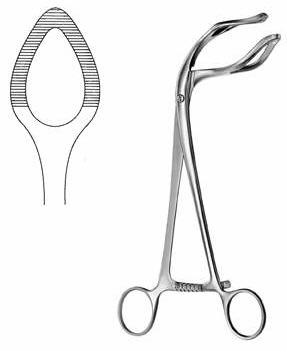 Uterine Seizing Forceps