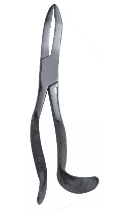 Tooth Forcep