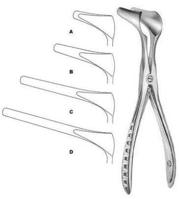 Nasal Speculum