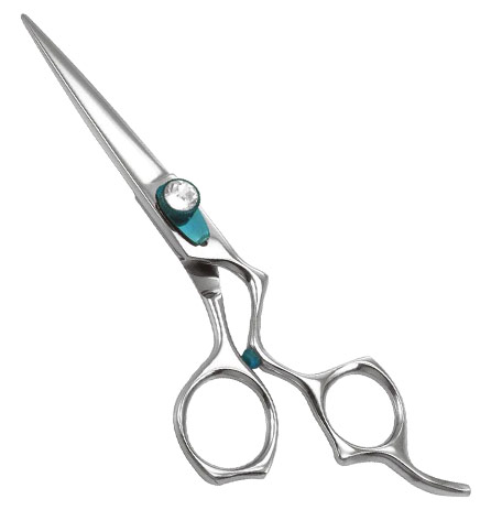 Barber Scissors