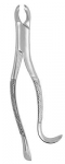 Extracting Forceps #15