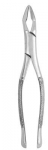 Extracting Forceps #32