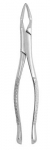 Extracting Forceps #32A