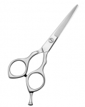 Barber Scissors