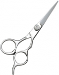 Barber Scissors